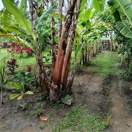 The Daun Puntik Homestay Pemenang Exteriör bild