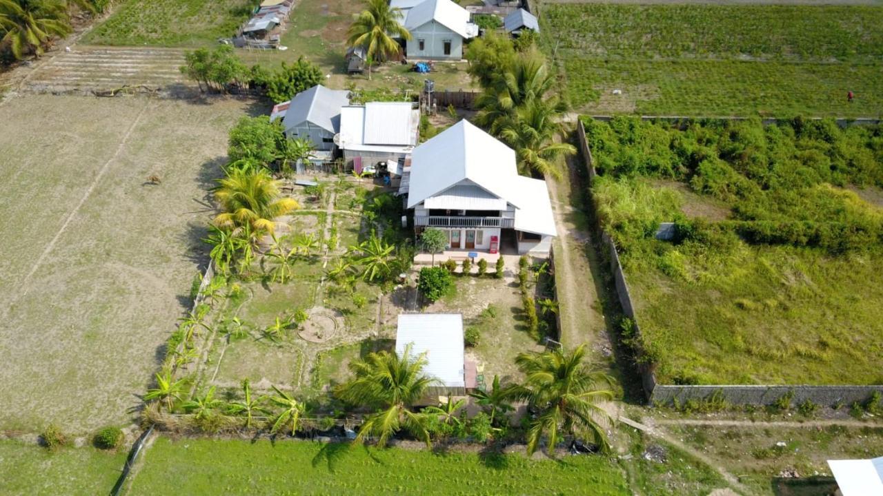 The Daun Puntik Homestay Pemenang Exteriör bild