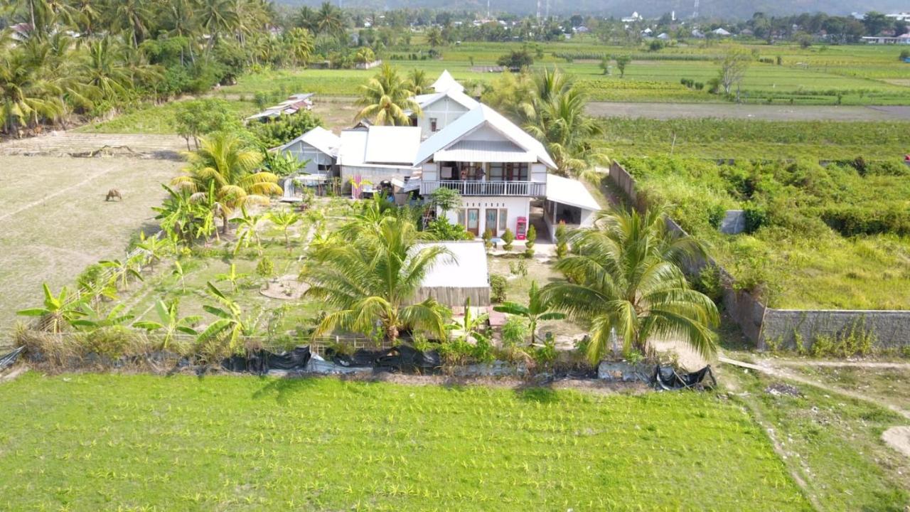 The Daun Puntik Homestay Pemenang Exteriör bild