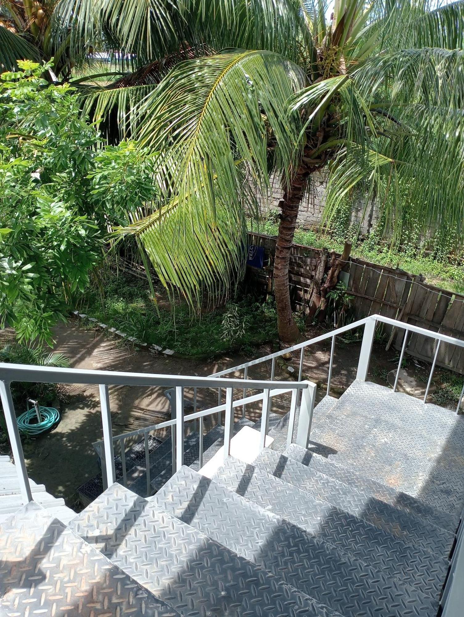 The Daun Puntik Homestay Pemenang Exteriör bild