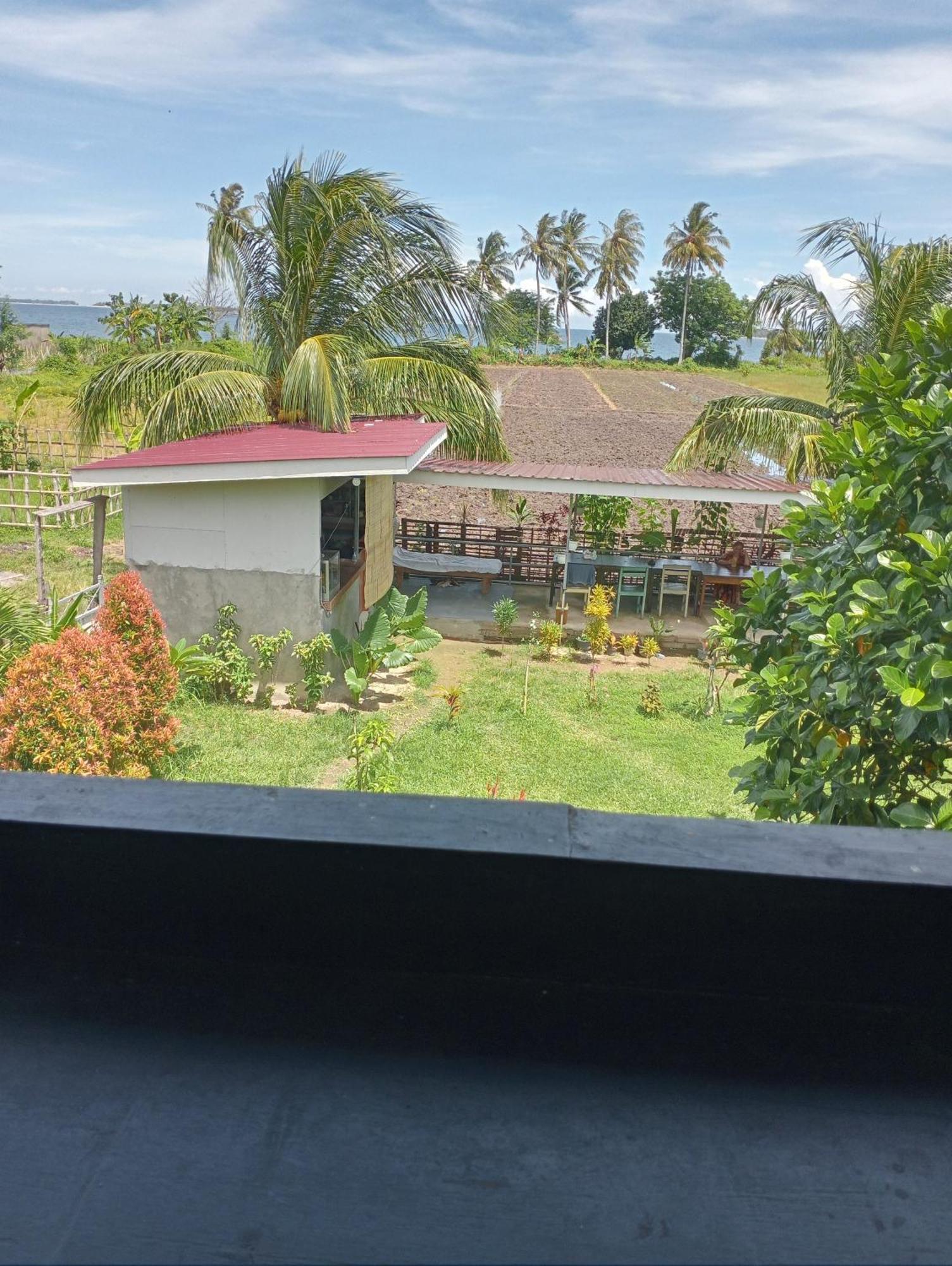 The Daun Puntik Homestay Pemenang Exteriör bild