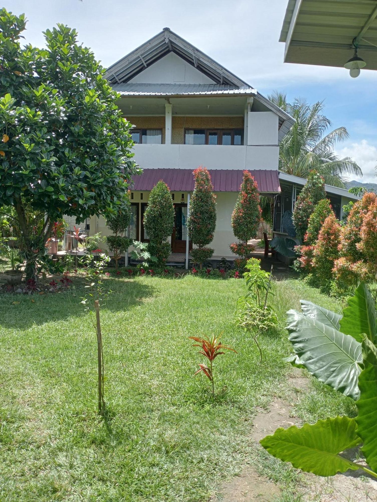 The Daun Puntik Homestay Pemenang Exteriör bild