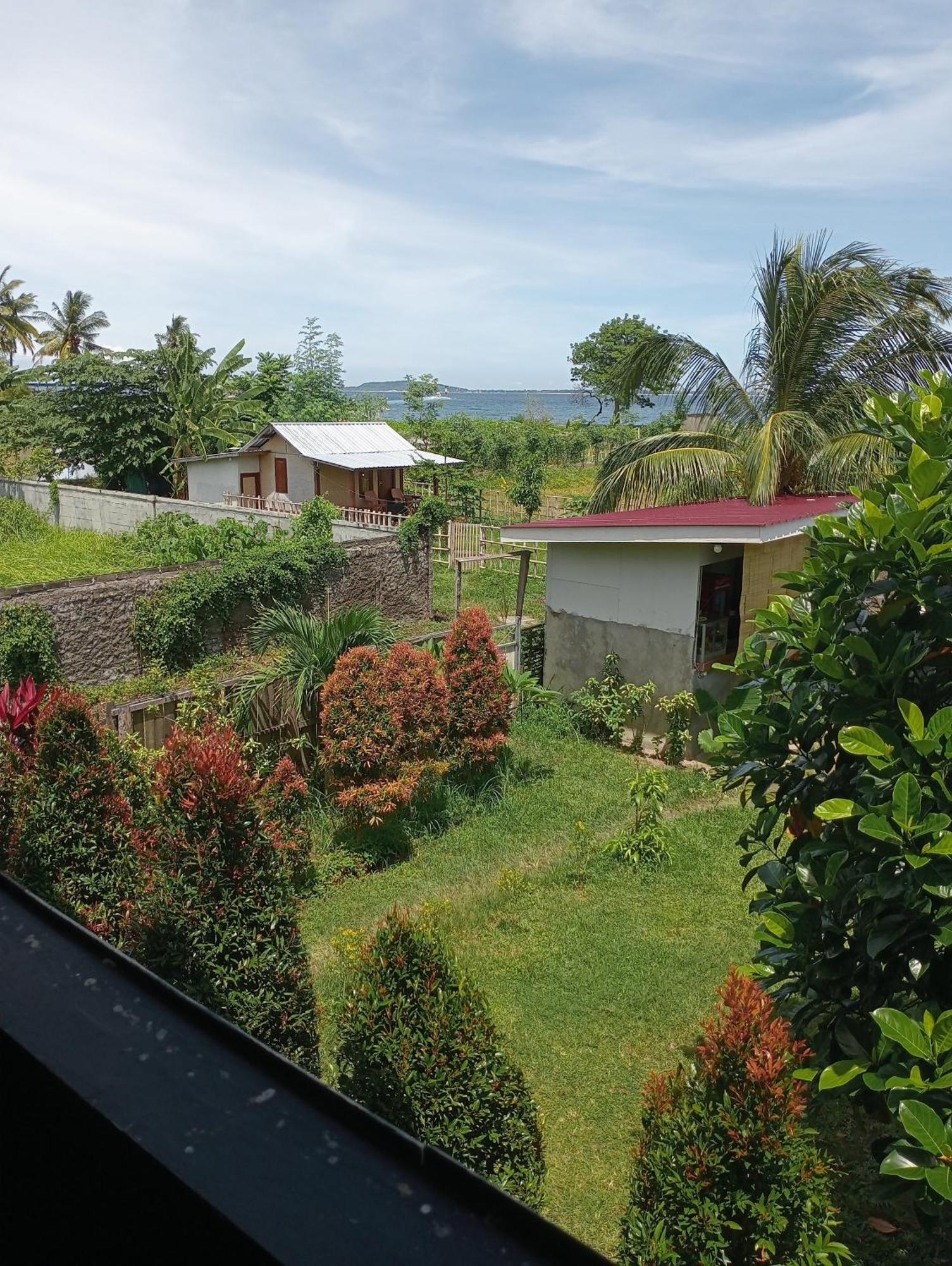 The Daun Puntik Homestay Pemenang Exteriör bild
