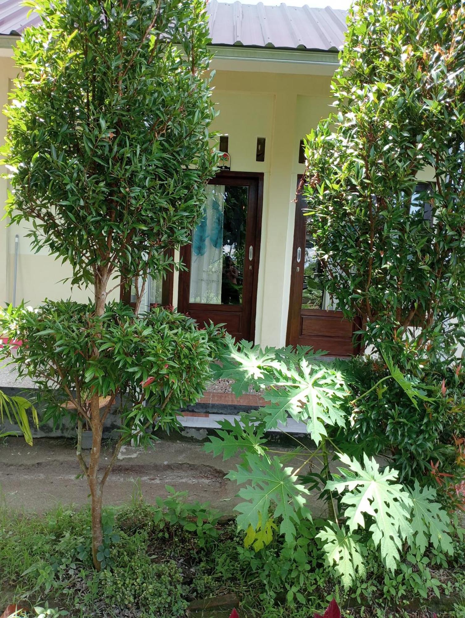 The Daun Puntik Homestay Pemenang Exteriör bild
